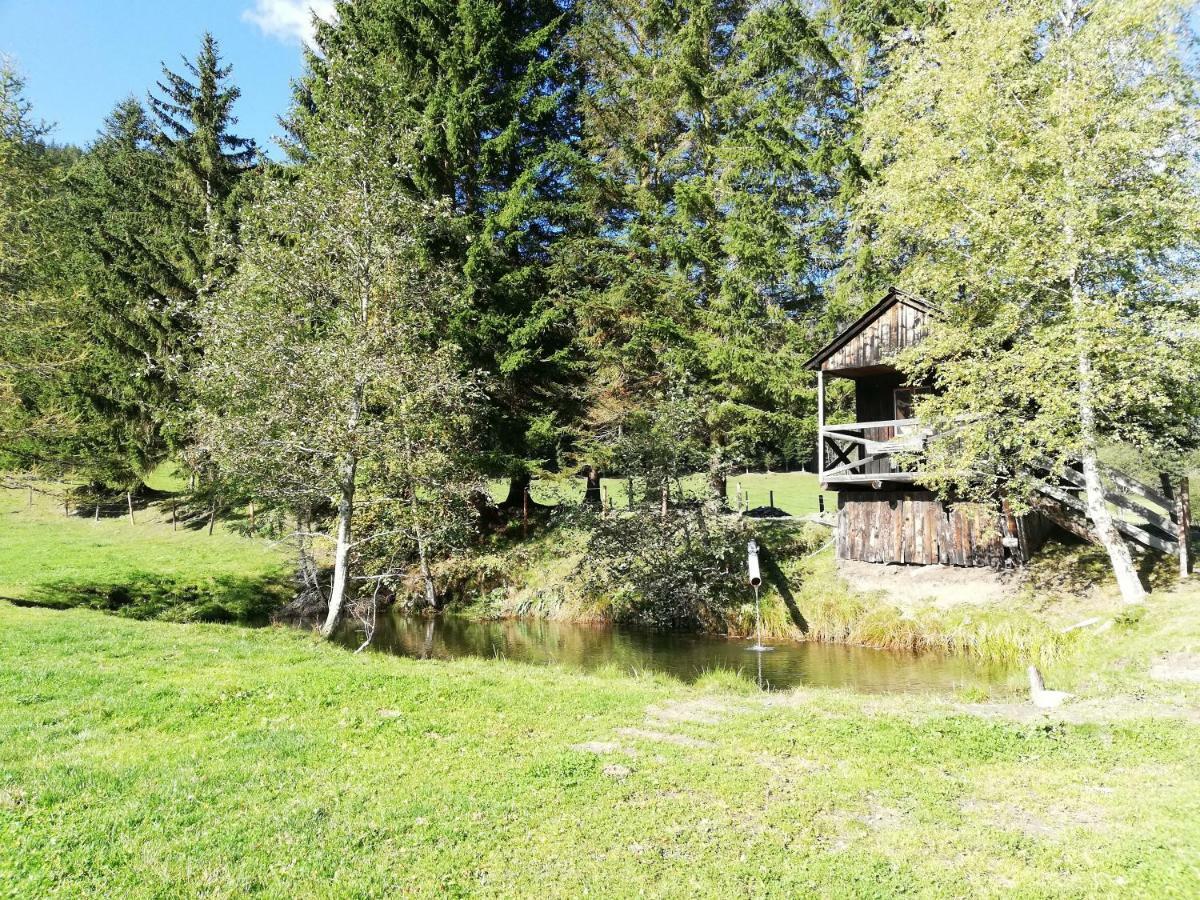 Pusterwald Almland Huetteヴィラ エクステリア 写真
